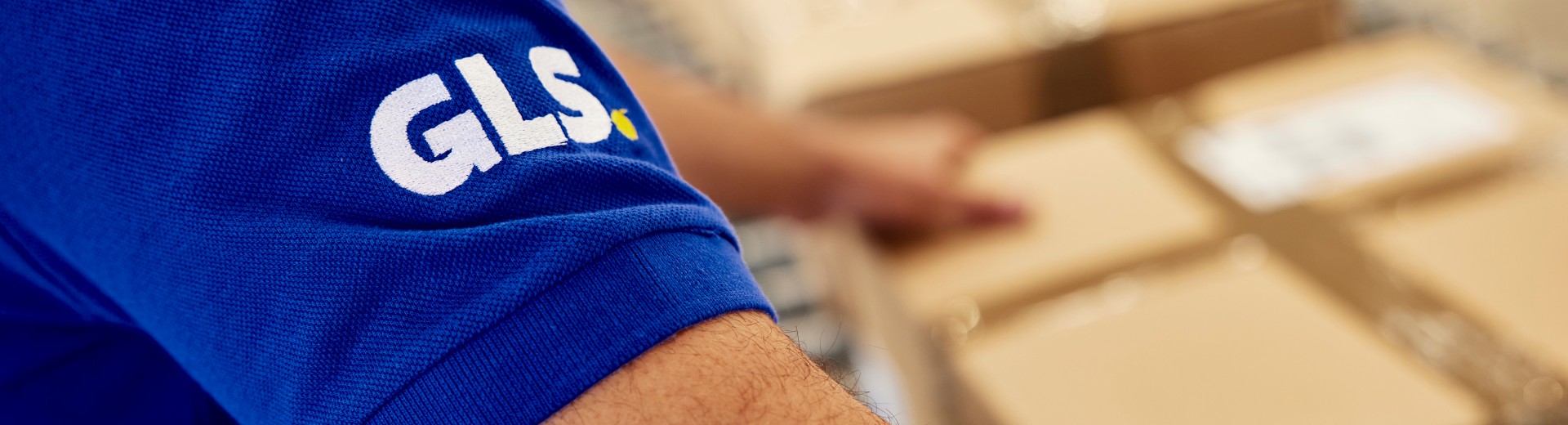 internationaler paketversand GLS