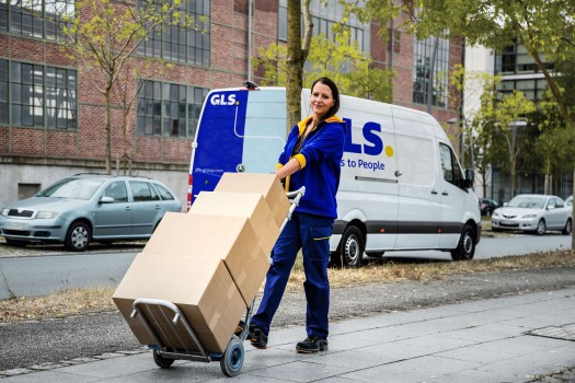 Delivery women gls van logo descriptor