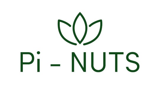 Pi-NUTS logo