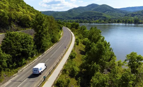 masina electrica in natura