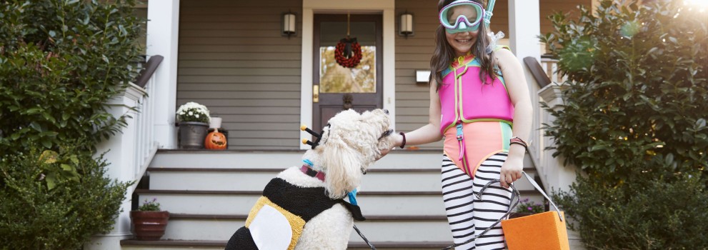 Punčka se igra s psom pred hišo