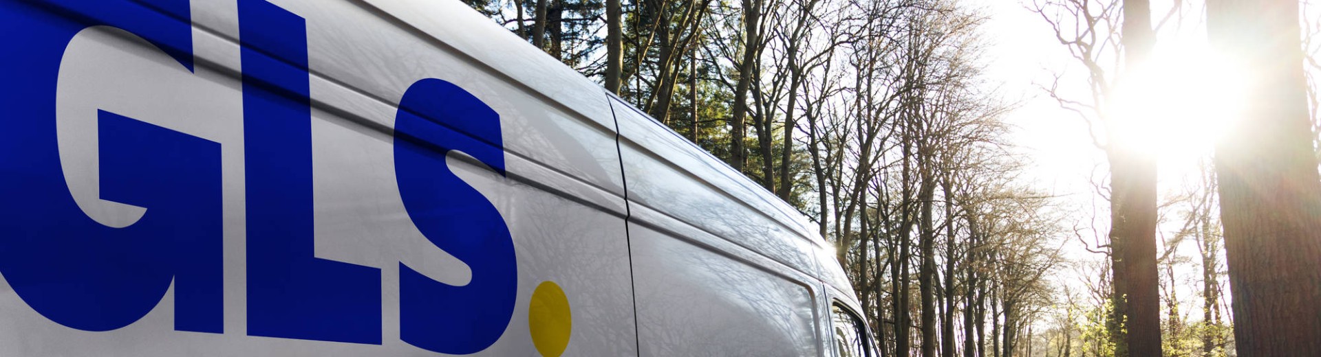 GLS kombi se vozi skozi gozd